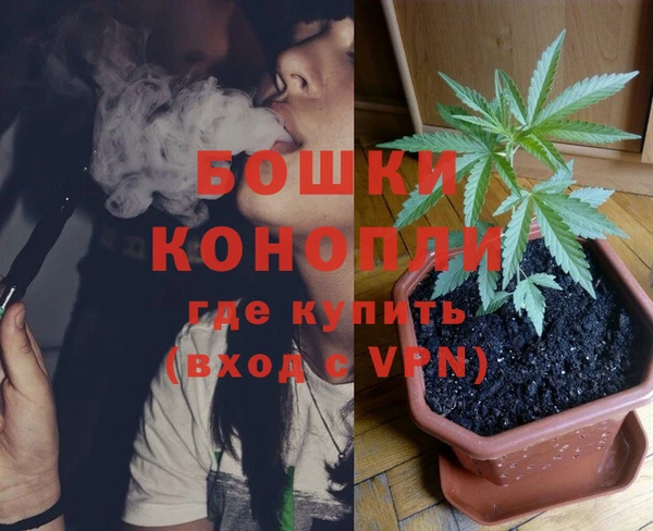МДПВ Ельня