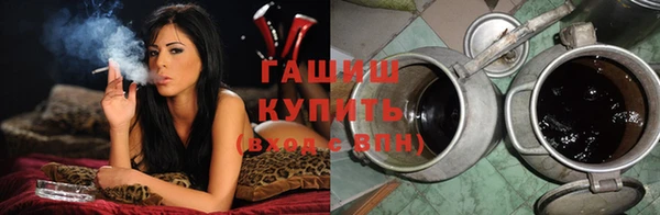 индика Заводоуковск
