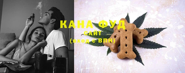 индика Заводоуковск