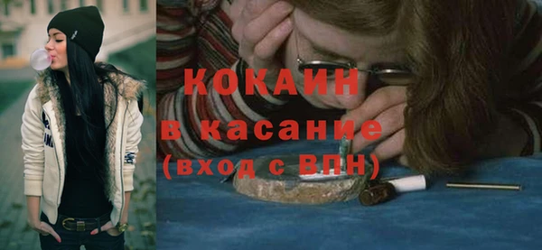 МДПВ Ельня