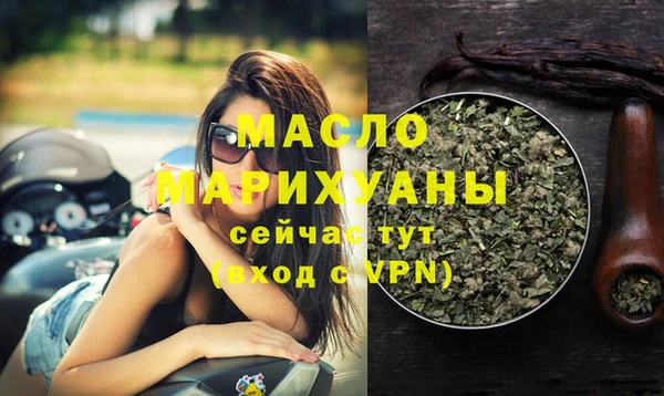 индика Заводоуковск