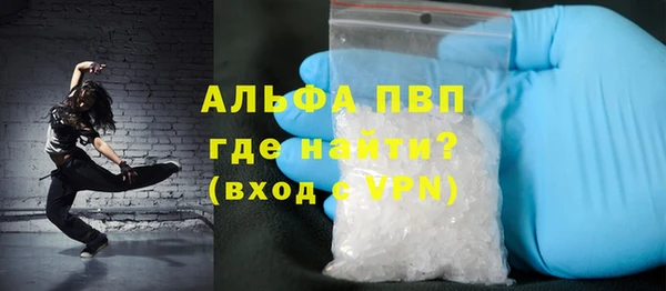 PSILOCYBIN Елабуга