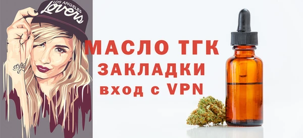 индика Заводоуковск