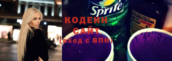 индика Заводоуковск