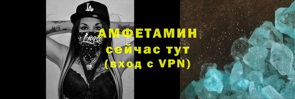 индика Заводоуковск