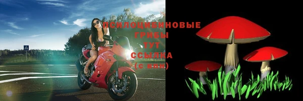 Альфа ПВП Елизово