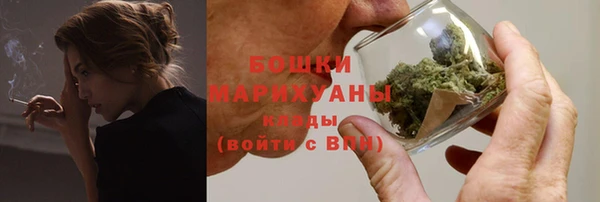 МДПВ Ельня