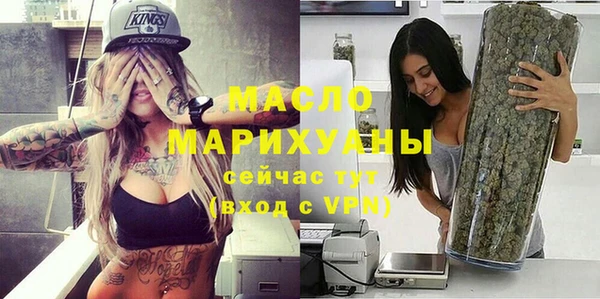 МДПВ Ельня