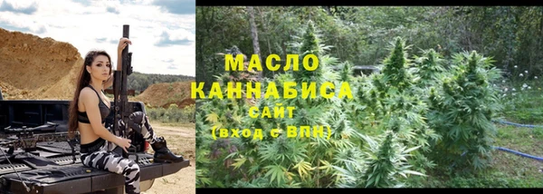 индика Заводоуковск