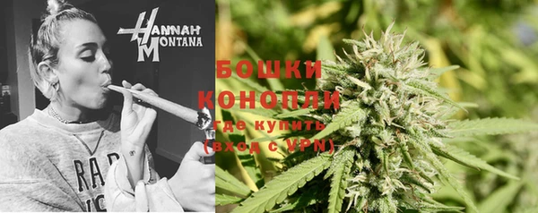 Альфа ПВП Елизово