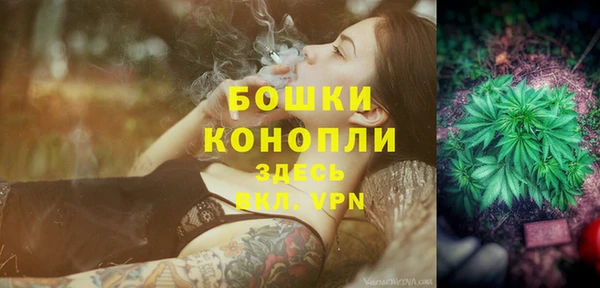 индика Заводоуковск