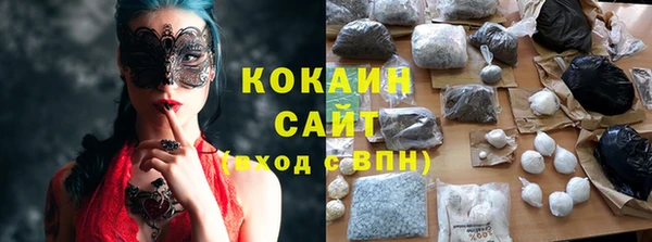 PSILOCYBIN Елабуга