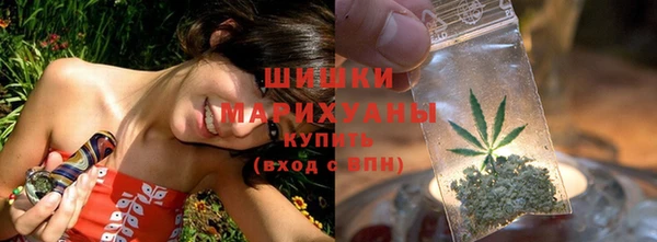 PSILOCYBIN Елабуга
