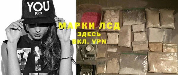 PSILOCYBIN Елабуга